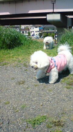 20090429130647.jpg