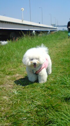 20090429130741.jpg
