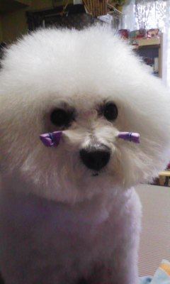 090412_120925.jpg