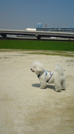 20090430123925.jpg