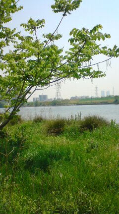 20090430124052.jpg