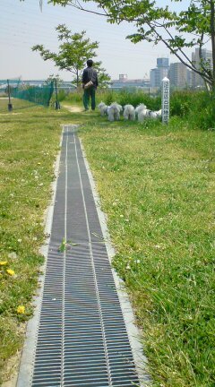 20090430124158.jpg