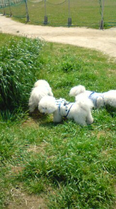20090430124755.jpg