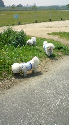 20090430124818.jpg