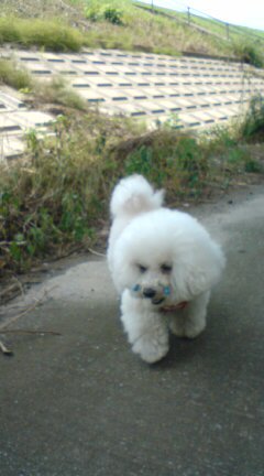 20090716130452.jpg