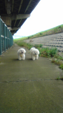 20090723131241.jpg
