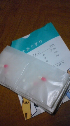 20090730205906.jpg
