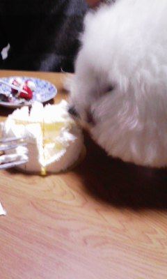 091224_134029.jpg
