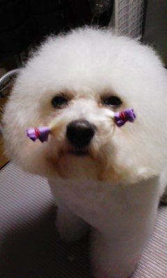 091230_170119.jpg