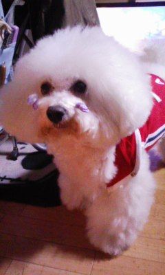100221_185942.jpg