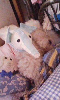 100227_151454.jpg