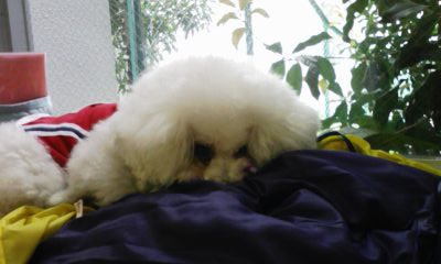 100415_113243.jpg