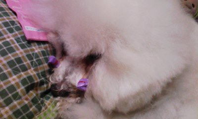 100418_183004.jpg