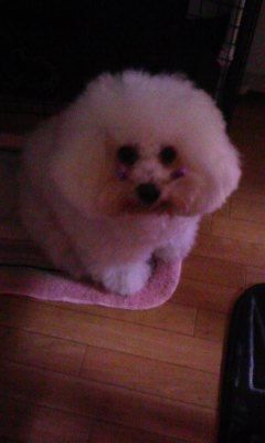 100418_183838.jpg