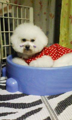 100502_204500.jpg