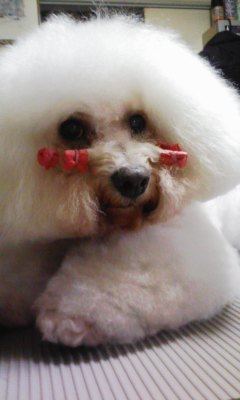 100811_173922.jpg