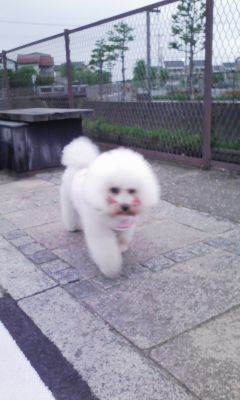 110505_050317.jpg