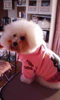 111224_150637.jpg
