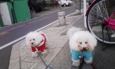 120101_123455.jpg