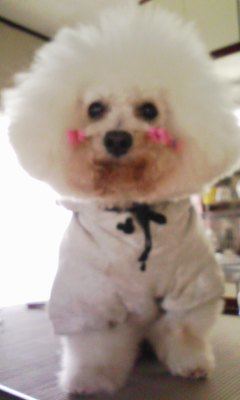 120325_151715.jpg