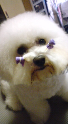 20090720130526.jpg