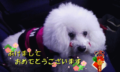 2010-new.year.gif