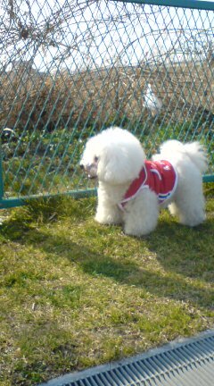 20100224133413.jpg