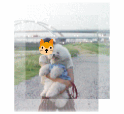 mama-coba.gif